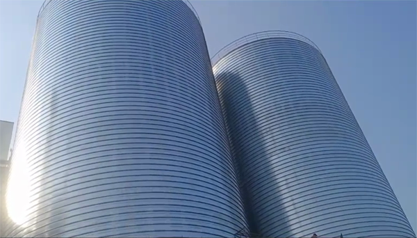 泉港2座混凝土高架卷板仓